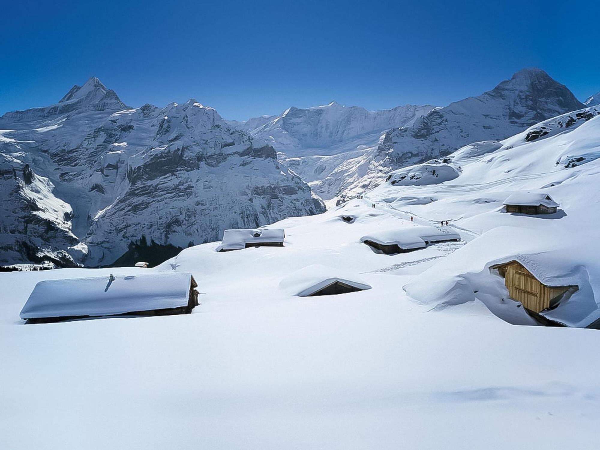 Apartment Chalet Almis-Boedeli-2 By Interhome Grindelwald Exterior foto